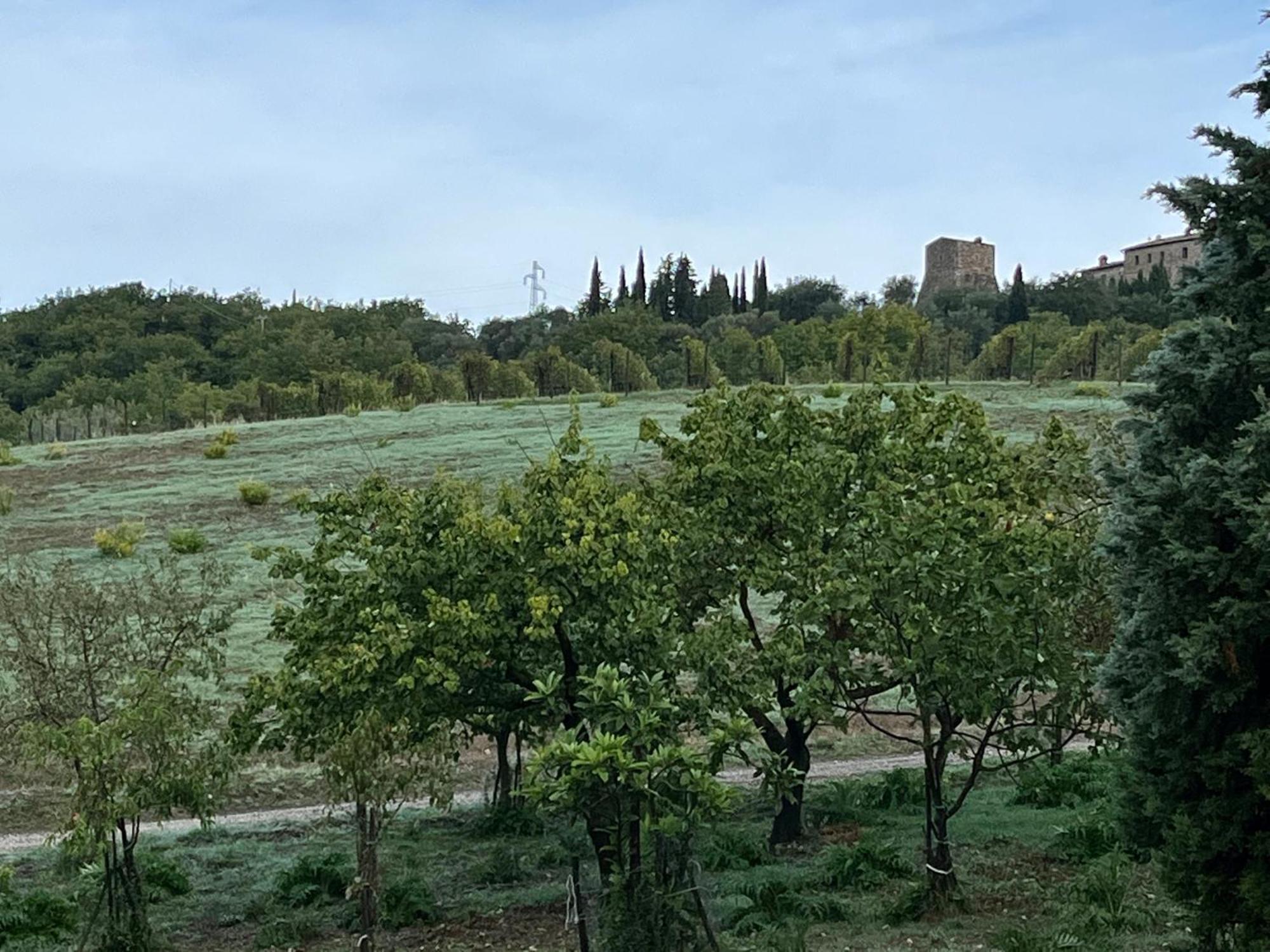 Agriturismo Le Querciole In Val D'Orcia Баньо-Виньони Экстерьер фото